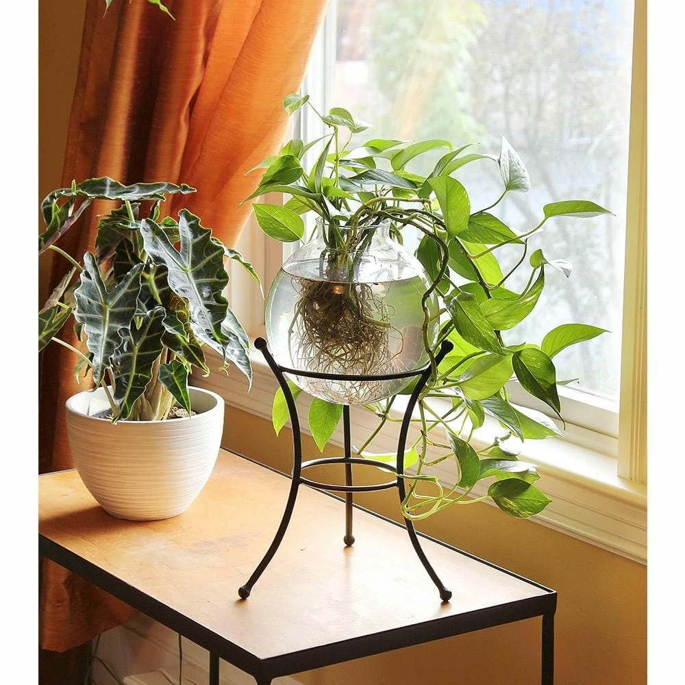 Achla Designs Multi-Use Stand for Planter, Birdbath, Ball, 11.25 in. Tall Black Powder Coat Finish 8 Achla Designs Multi-Use Stand for Planter, Birdbath, Ball, 11.25 in. Tall Black Powder Coat Finish - Image 6