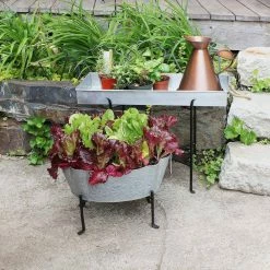 Achla Designs 19.5 in. Tall Black Powder Coat Iron Indoor/Outdoor Short Folding Floor Stand -Achla Designs Shop achla designs plant stands cwi 04 76 1000