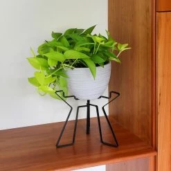 Achla Designs 15 in. Tall Black Powder Coat Metal Simple Folding Tabletop and Floor Florence Plant Stand -Achla Designs Shop achla designs plant stands fb 63 4f 1000
