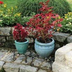 Achla Designs 12.25 in. Dia Black Powder Coat Small Short Piazza Plant Stand -Achla Designs Shop achla designs plant stands gbs 23 76 1000