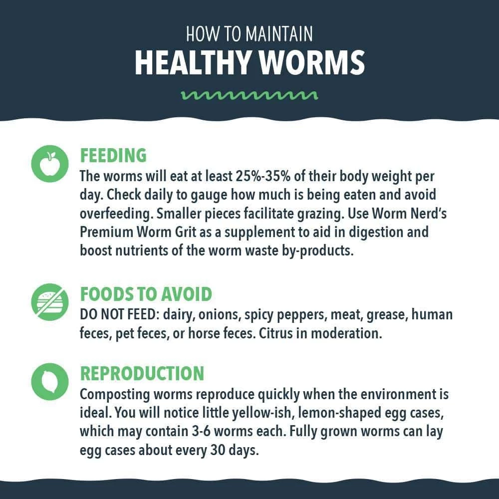 Arcadia Garden Products Worm Nerd Live Red Wiggler Composting Worms (100 Worms) 7 Arcadia Garden Products Worm Nerd Live Red Wiggler Composting Worms (100 Worms) - Image 5