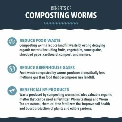 Arcadia Garden Products Worm Nerd Live Red Wiggler Composting Worms (100 Worms) 10 Arcadia Garden Products Worm Nerd Live Red Wiggler Composting Worms (100 Worms) -Achla Designs Shop arcadia garden products compost starters wn01 4f 1000