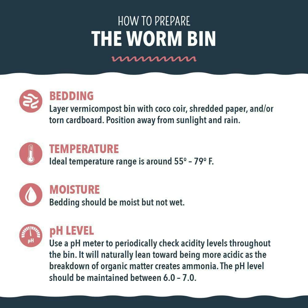 Arcadia Garden Products Worm Nerd Live Red Wiggler Composting Worms (500 Worms) 6 Arcadia Garden Products Worm Nerd Live Red Wiggler Composting Worms (500 Worms) - Image 4
