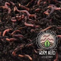 Arcadia Garden Products Worm Nerd Live Red Wiggler Composting Worms (500 Worms) 9 Arcadia Garden Products Worm Nerd Live Red Wiggler Composting Worms (500 Worms) -Achla Designs Shop arcadia garden products compost starters wn03 c3 1000