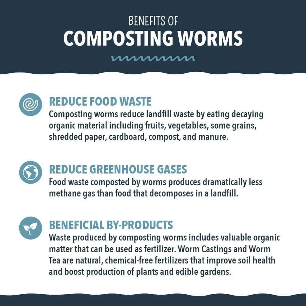 Arcadia Garden Products Worm Nerd Live Red Wiggler Composting Worms (1000 Worms) 5 Arcadia Garden Products Worm Nerd Live Red Wiggler Composting Worms (1000 Worms) - Image 3