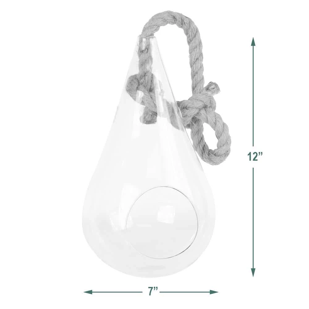 Arcadia Garden Products Pear 7 in. x 12 in. Glass Hanging Terrarium 4 Arcadia Garden Products Pear 7 in. x 12 in. Glass Hanging Terrarium - Image 2