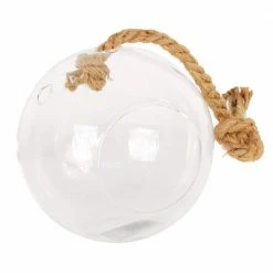 Arcadia Garden Products Sphere 5 in. x 5 in. Glass Hanging Terrarium
