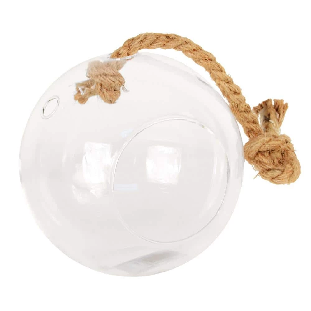 Arcadia Garden Products Sphere 5 in. x 5 in. Glass Hanging Terrarium 3 Arcadia Garden Products Sphere 5 in. x 5 in. Glass Hanging Terrarium