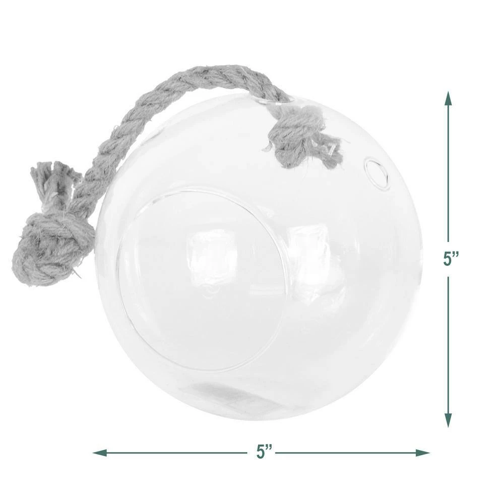 Arcadia Garden Products Sphere 5 in. x 5 in. Glass Hanging Terrarium 4 Arcadia Garden Products Sphere 5 in. x 5 in. Glass Hanging Terrarium - Image 2