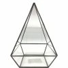 Arcadia Garden Products Geometric 5 in. x 8 in. Glass Pyramid Terrarium 1 Arcadia Garden Products Geometric 5 in. x 8 in. Glass Pyramid Terrarium -Achla Designs Shop arcadia garden products glass terrariums te32 64 1000