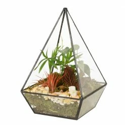 Arcadia Garden Products Geometric 5 in. x 8 in. Glass Pyramid Terrarium -Achla Designs Shop arcadia garden products glass terrariums te32 c3 1000