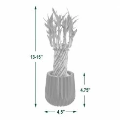 Arcadia Garden Products 4-1/2 in. Tornado Lucky Bamboo Classica 2.0 Tan Ceramic Planter 9 Arcadia Garden Products 4-1/2 in. Tornado Lucky Bamboo Classica 2.0 Tan Ceramic Planter -Achla Designs Shop arcadia garden products indoor plants lv38 1f 1000