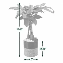 Arcadia Garden Products 4-1/2 in. Money Tree Black Round Cork Ceramic Planter -Achla Designs Shop arcadia garden products indoor plants lv42 1f 1000