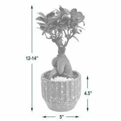 Arcadia Garden Products 5 in. Ginseng Ficus Bonsai White Round Speckled Splash Ceramic Planter 9 Arcadia Garden Products 5 in. Ginseng Ficus Bonsai White Round Speckled Splash Ceramic Planter -Achla Designs Shop arcadia garden products indoor plants lv54 1f 1000