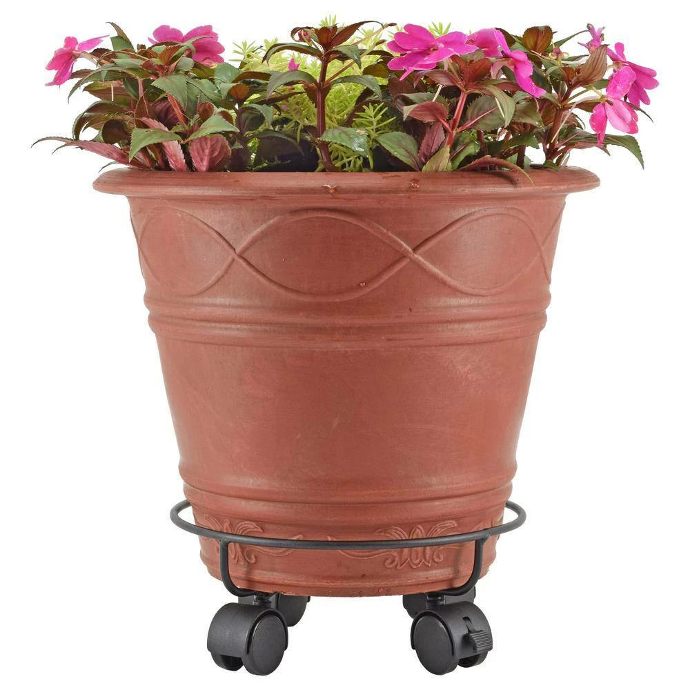 Arcadia Garden Products 10 in. Black Metal Heavy-Duty Plant Caddy 7 Arcadia Garden Products 10 in. Black Metal Heavy-Duty Plant Caddy - Image 5