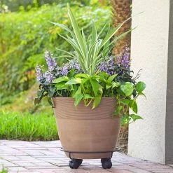 Arcadia Garden Products 13 in. Black Metal Heavy-Duty Plant Caddy -Achla Designs Shop arcadia garden products planter caddies 1560 31 1000