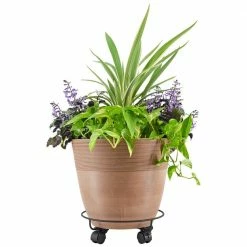 Arcadia Garden Products 13 in. Black Metal Heavy-Duty Plant Caddy -Achla Designs Shop arcadia garden products planter caddies 1560 44 1000