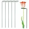 Arcadia Garden Products 18 in. H. x 2 in. Loop Flower Support (5-Pack) -Achla Designs Shop arcadia garden products tomato cages 1565 5 64 1000