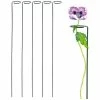 Arcadia Garden Products 40 in. H. x 3 in. Loop Flower Support (5-Pack) 1 Arcadia Garden Products 40 in. H. x 3 in. Loop Flower Support (5-Pack) -Achla Designs Shop arcadia garden products tomato cages 1567 5 64 1000