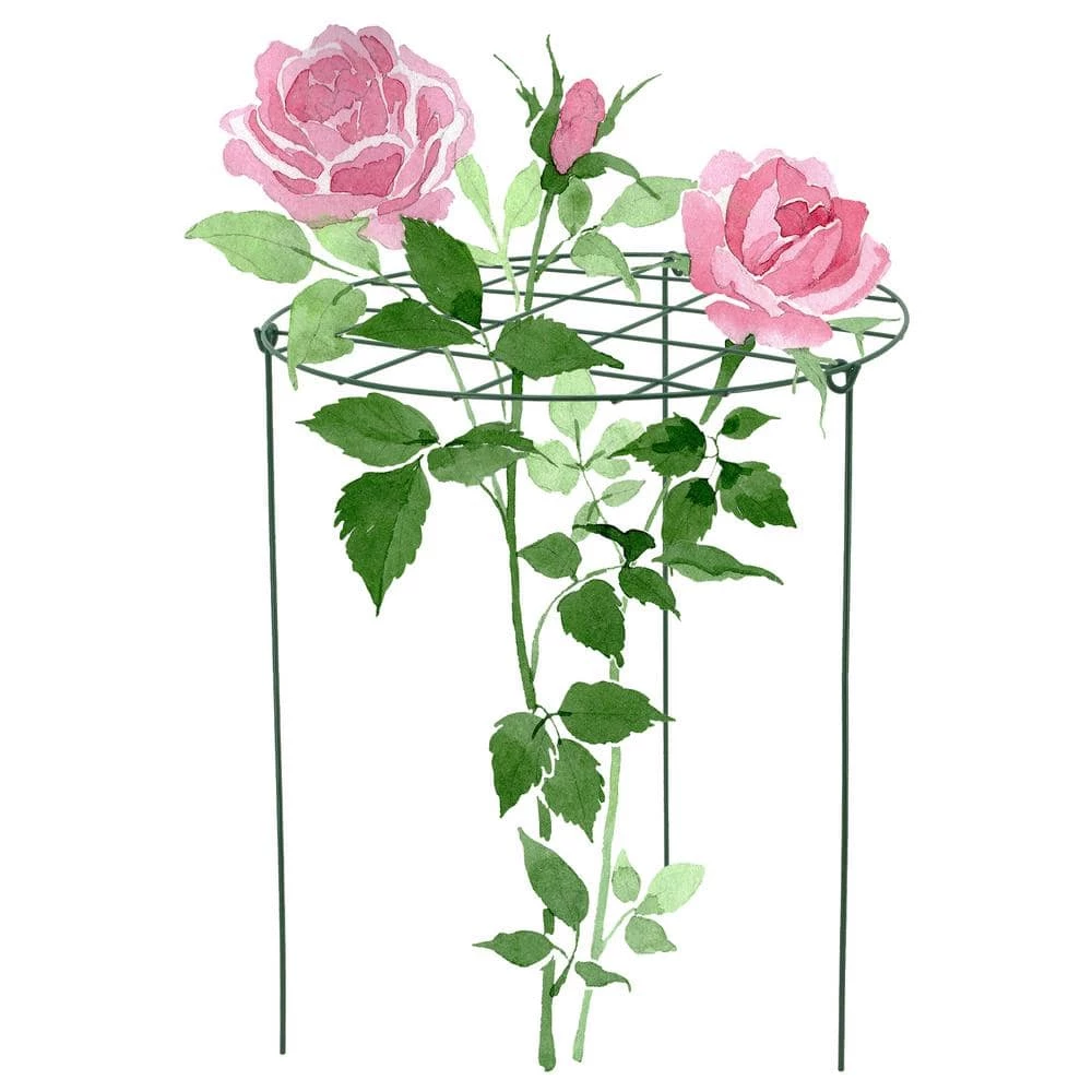 Arcadia Garden Products 12 in. Grow Through Support (2-Pack) 7 Arcadia Garden Products 12 in. Grow Through Support (2-Pack) - Image 5