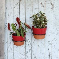 Achla Designs 6 in. Dia Black Powder Coat Metal Wall Mounted Flower Pot Holder Ring Bracket 15 Achla Designs 6 in. Dia Black Powder Coat Metal Wall Mounted Flower Pot Holder Ring Bracket -Achla Designs Shop black achla designs plant hangers sfr 06 76 1000
