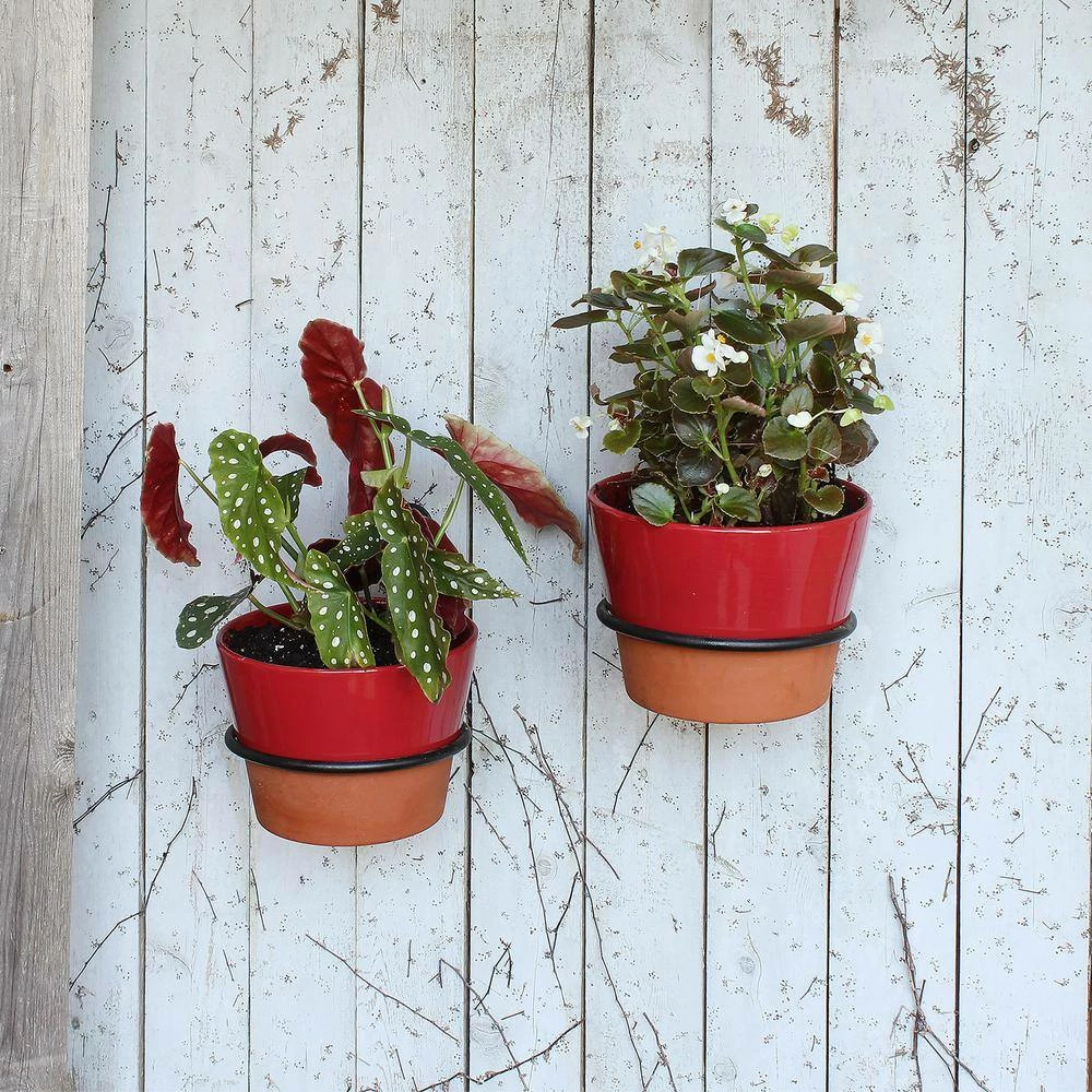 Achla Designs 6 in. Dia Black Powder Coat Metal Wall Mounted Flower Pot Holder Ring Bracket 9 Achla Designs 6 in. Dia Black Powder Coat Metal Wall Mounted Flower Pot Holder Ring Bracket - Image 7