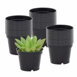 Arcadia Garden Products 2 in. Black Plastic Standard Grow Pot (100-Pack)