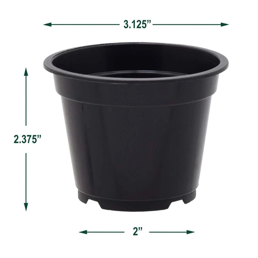 Arcadia Garden Products 3 in. Black Plastic Standard Grow Pot (250-Pack) 6 Arcadia Garden Products 3 in. Black Plastic Standard Grow Pot (250-Pack) - Image 4
