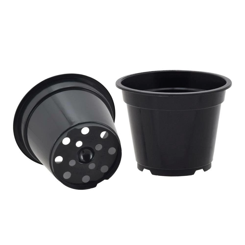 Arcadia Garden Products 3 in. Black Plastic Standard Grow Pot (250-Pack) 4 Arcadia Garden Products 3 in. Black Plastic Standard Grow Pot (250-Pack) - Image 2