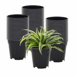Arcadia Garden Products 4 in. Black Plastic Standard Grow Pot (250-Pack)