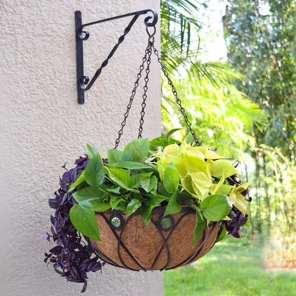 Arcadia Garden Products Emerald 16 in. Black Metal Coconut Hanging Basket 6 Arcadia Garden Products Emerald 16 in. Black Metal Coconut Hanging Basket - Image 4