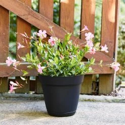 Southern Patio Graff Large 20 in. x 17 in. Black Resin Planter with Saucer -Achla Designs Shop black southern patio plant pots ga2008bk a0 1000