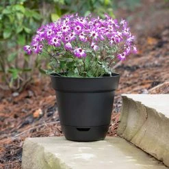 Southern Patio Graff Large 15.9 in. x 14.2 in. Black Resin Self-Watering Planter -Achla Designs Shop black southern patio plant pots gs1606bk 40 1000