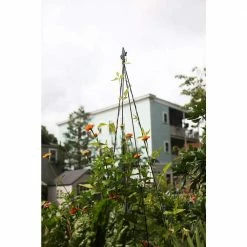 Achla Designs Fleur-De-Lis Garden Trellis Tool, 78 in. Tall Black Powder Coat Finish 11 Achla Designs Fleur-De-Lis Garden Trellis Tool, 78 in. Tall Black Powder Coat Finish -Achla Designs Shop blacks achla designs garden trellises ft 21 44 1000