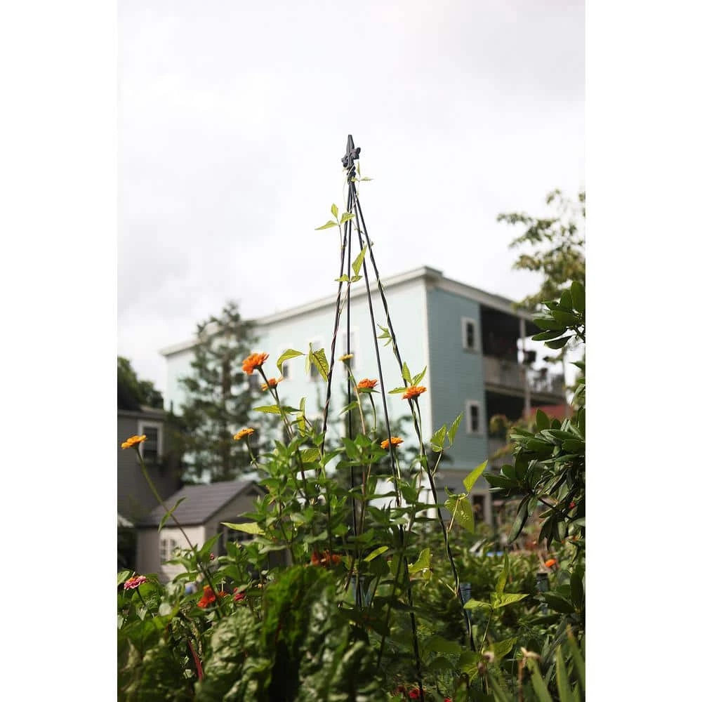 Achla Designs Fleur-De-Lis Garden Trellis Tool, 78 in. Tall Black Powder Coat Finish 7 Achla Designs Fleur-De-Lis Garden Trellis Tool, 78 in. Tall Black Powder Coat Finish - Image 5