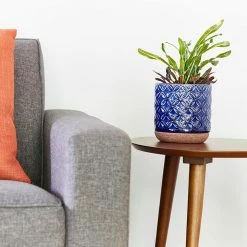 Southern Patio Griffy 5.9 in. x 6.1 in. Blue Ceramic Indoor Pot 22 Southern Patio Griffy 5.9 in. x 6.1 in. Blue Ceramic Indoor Pot -Achla Designs Shop blue southern patio plant pots crm 081562 1d 1000