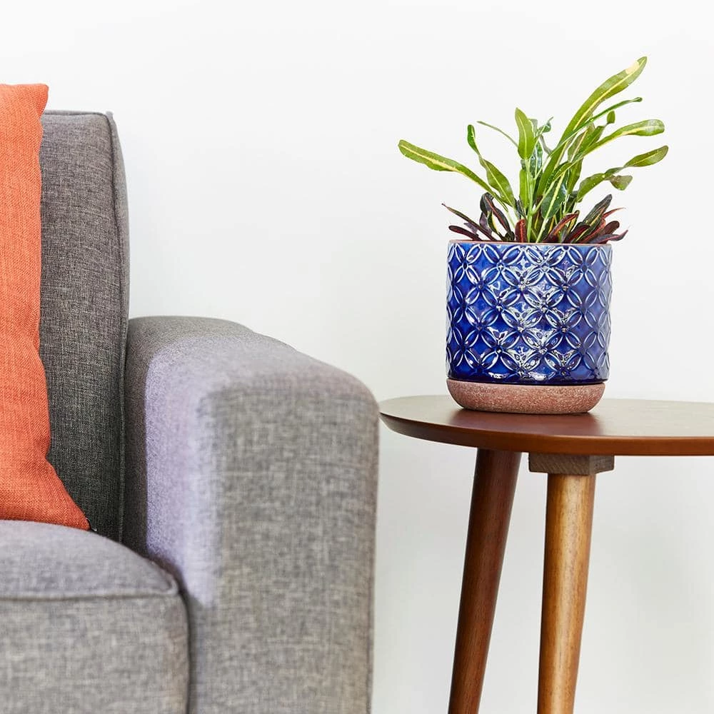 Southern Patio Griffy 5.9 in. x 6.1 in. Blue Ceramic Indoor Pot 7 Southern Patio Griffy 5.9 in. x 6.1 in. Blue Ceramic Indoor Pot - Image 5