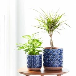 Southern Patio Griffy 5.9 in. x 6.1 in. Blue Ceramic Indoor Pot 27 Southern Patio Griffy 5.9 in. x 6.1 in. Blue Ceramic Indoor Pot -Achla Designs Shop blue southern patio plant pots crm 081562 1f 1000