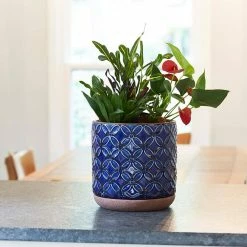 Southern Patio Griffy 5.9 in. x 6.1 in. Blue Ceramic Indoor Pot 23 Southern Patio Griffy 5.9 in. x 6.1 in. Blue Ceramic Indoor Pot -Achla Designs Shop blue southern patio plant pots crm 081562 66 1000
