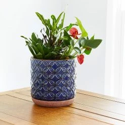 Southern Patio Griffy 5.9 in. x 6.1 in. Blue Ceramic Indoor Pot 24 Southern Patio Griffy 5.9 in. x 6.1 in. Blue Ceramic Indoor Pot -Achla Designs Shop blue southern patio plant pots crm 081562 77 1000