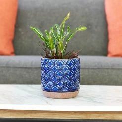 Southern Patio Griffy 5.9 in. x 6.1 in. Blue Ceramic Indoor Pot 31 Southern Patio Griffy 5.9 in. x 6.1 in. Blue Ceramic Indoor Pot -Achla Designs Shop blue southern patio plant pots crm 081562 d4 1000