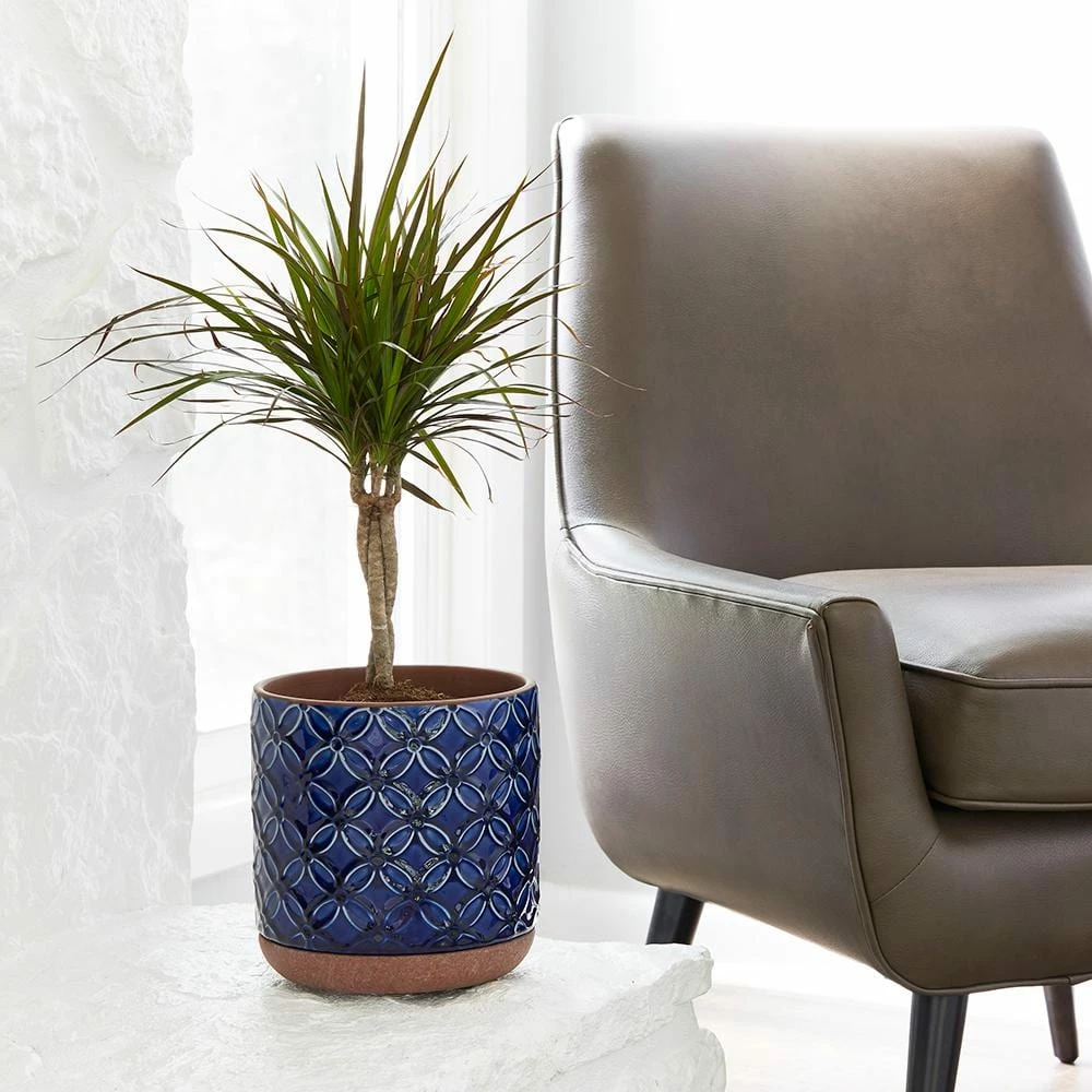 Southern Patio Griffy 8.07 in. x 8.27 in. Blue Ceramic Indoor Pot 11 Southern Patio Griffy 8.07 in. x 8.27 in. Blue Ceramic Indoor Pot - Image 9