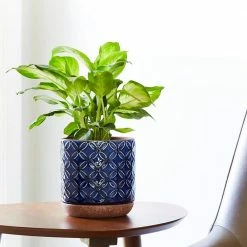 Southern Patio Griffy 8.07 in. x 8.27 in. Blue Ceramic Indoor Pot 26 Southern Patio Griffy 8.07 in. x 8.27 in. Blue Ceramic Indoor Pot -Achla Designs Shop blue southern patio plant pots crm 081579 44 1000