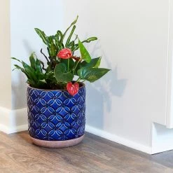 Southern Patio Griffy 8.07 in. x 8.27 in. Blue Ceramic Indoor Pot 20 Southern Patio Griffy 8.07 in. x 8.27 in. Blue Ceramic Indoor Pot -Achla Designs Shop blue southern patio plant pots crm 081579 a0 1000