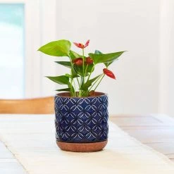 Southern Patio Griffy 8.07 in. x 8.27 in. Blue Ceramic Indoor Pot 27 Southern Patio Griffy 8.07 in. x 8.27 in. Blue Ceramic Indoor Pot -Achla Designs Shop blue southern patio plant pots crm 081579 fa 1000
