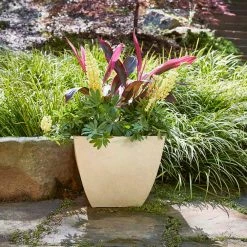 Southern Patio Newland Large 16 in. x 13.5 in. High Density Resin Bone Square Planter 15 Southern Patio Newland Large 16 in. x 13.5 in. High Density Resin Bone Square Planter -Achla Designs Shop bone southern patio plant pots hdr 012184 4f 1000