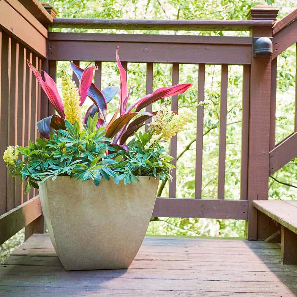 Southern Patio Newland Large 16 in. x 13.5 in. High Density Resin Bone Square Planter 4 Southern Patio Newland Large 16 in. x 13.5 in. High Density Resin Bone Square Planter - Image 2