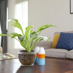 Southern Patio Gracie 8 in. x 6.1 in. Brown Ceramic Indoor Pot (2-Pack) -Achla Designs Shop brown southern patio plant pots crm 047063p2 1d 1000