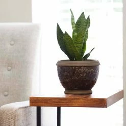 Southern Patio Gracie 8 in. x 6.1 in. Brown Ceramic Indoor Pot (2-Pack) -Achla Designs Shop brown southern patio plant pots crm 047063p2 1f 1000