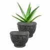 Southern Patio Gracie 8 in. x 6.1 in. Brown Ceramic Indoor Pot (2-Pack) -Achla Designs Shop brown southern patio plant pots crm 047063p2 64 1000